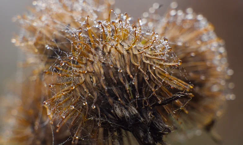 Casa pe care am salvat-o, dar în care nu mai am loc