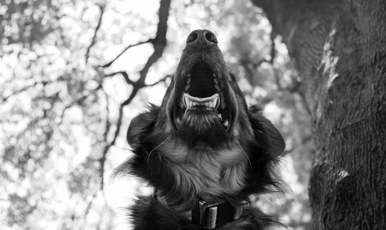 Cinci ani pe umerii mei: Ziua în care am cerut ajutor soțului meu