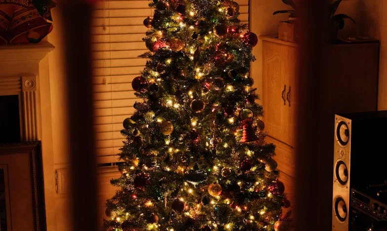 Cum am rămas în casa mea când toți mă voiau afară