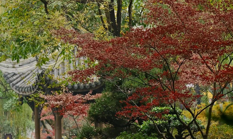 Cuvântul care mi-a salvat fiica – Poveste despre încredere, secrete de familie și forța intuiției materne