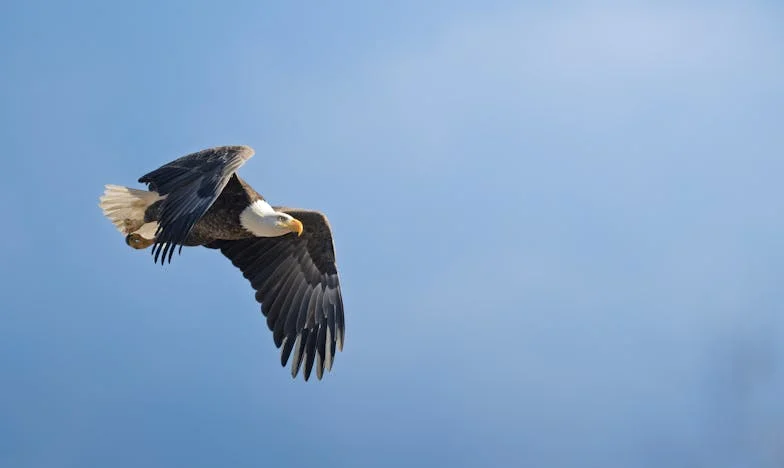 Dincolo de Ușă: Povestea lui Paul, Băiatul Alungat de Acasă
