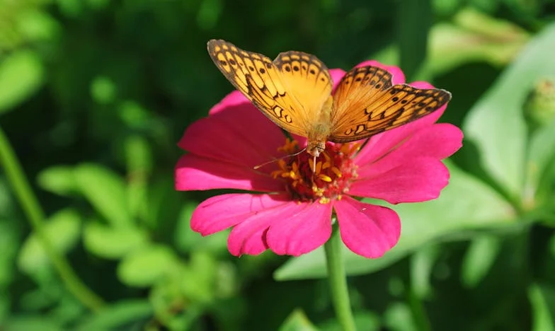 După 36 de ani: Întâlnirea care mi-a răscolit viața