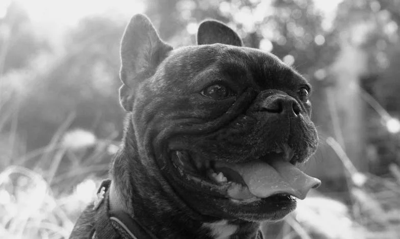 Frigiderul nu e cantină! Cum fiica mea, Ana, și „prietenii” ei ne-au împins familia la limită