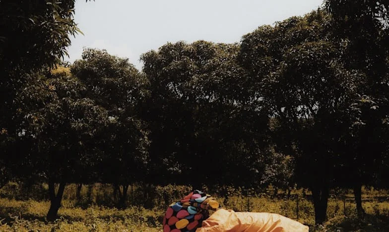 În umbra soacrei: Trei ani de căsnicie, trei ani de luptă cu doamna Ilona