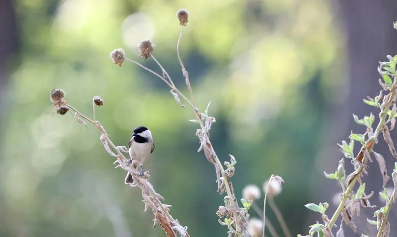 Între așteptări și libertate: Povestea mea despre curajul de a spune „nu”