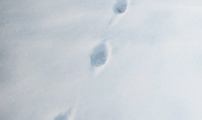 Între două iubiri: Când trebuie să alegi între mamă și soție