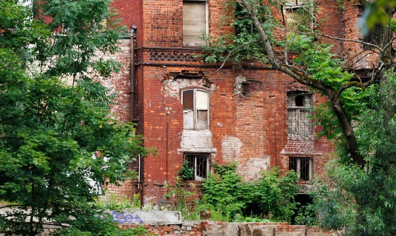 Între două lumi: Dragostea fiicei mele și umbrele unei familii toxice