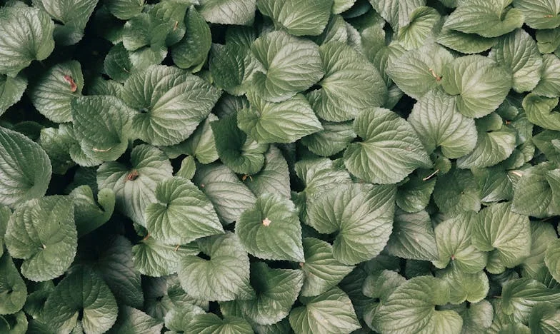 Între două lumi: Povestea unei mame singure din București