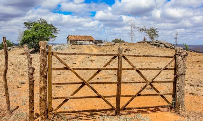 Între patru pereți: Când familia devine amenințare – povestea unei alegeri imposibile