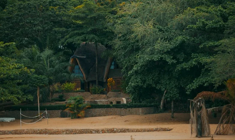 Între rugăciune și lacrimi: Povestea mea despre lupta pentru cămin, iubire și demnitate sub același acoperiș cu soacra