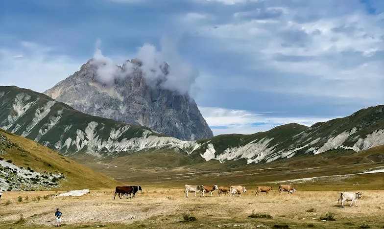 La limita răbdării: Când legăturile de familie sufocă iubirea – Povestea mea în umbra surorii soțului meu