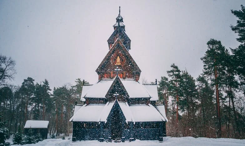 Lasă-l să plece! Povestea mea cu Vlad și lupta pentru a mă regăsi