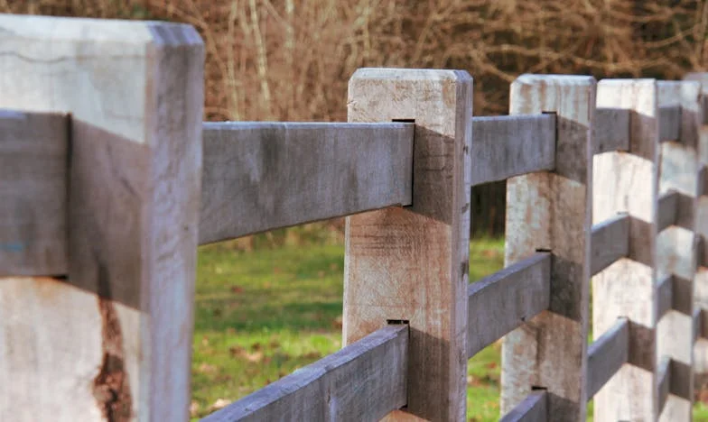 Mă ridic – pentru că nu vreau să-l pierd!