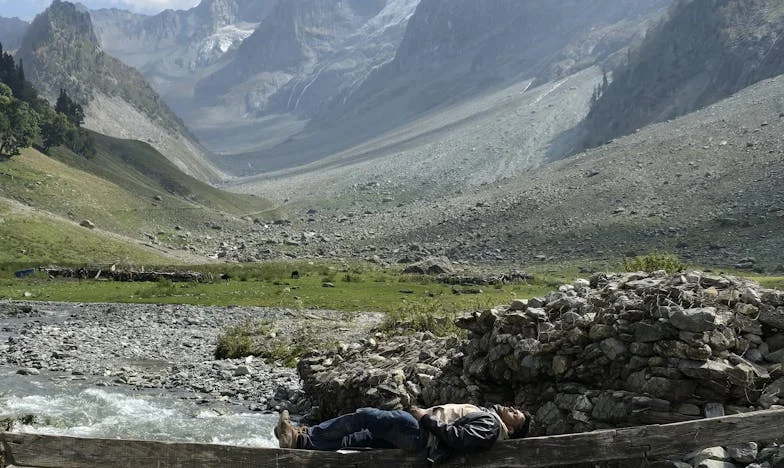 „Mama, semnează pentru mine” – Povestea unei mame sfâșiate între iubire și adevăr