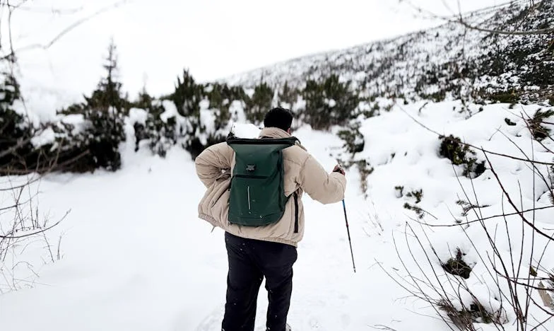 Mărul din curtea care nu mai există – povestea întoarcerii într-o casă străină