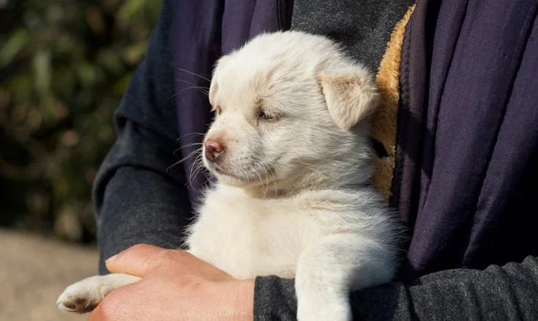 Noaptea în care fiul meu m-a salvat – Mărturia unei mame despre violența domestică