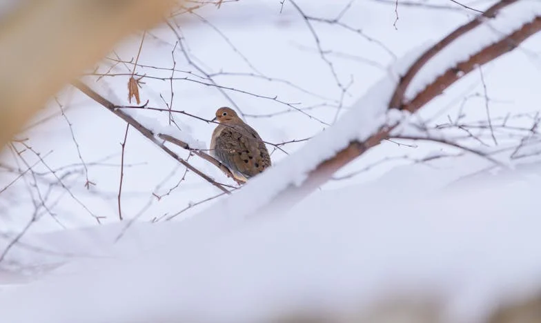 Nu i-am spus soțului meu adevărul despre promovare – iar el a plecat