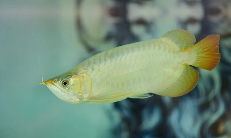 „Nu mai ești fiica noastră” – Povestea unei rupturi de familie