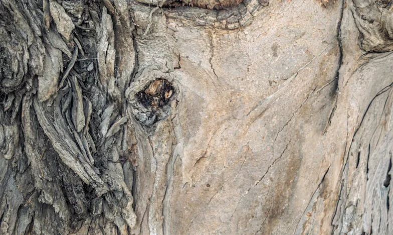 O clipă de pe scara blocului care mi-a sfâșiat viața: Povestea unei trădări ascunse