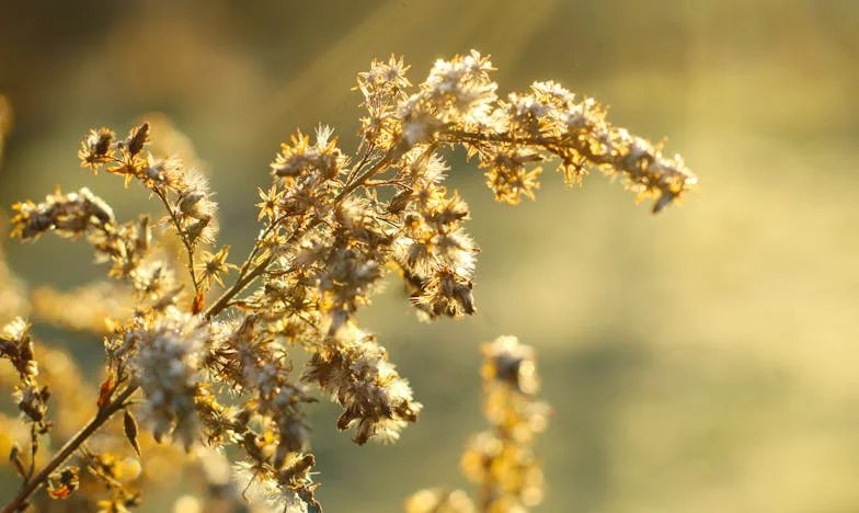 Salariul nu e iubire: Povestea mea despre frică, dependență și curaj