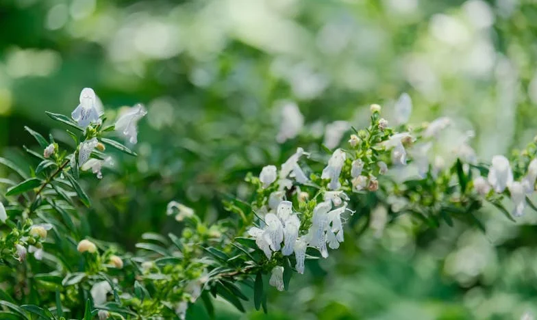 Sângele ascuns în familia mea: Povestea Mariei despre adevăr, iertare și dragoste