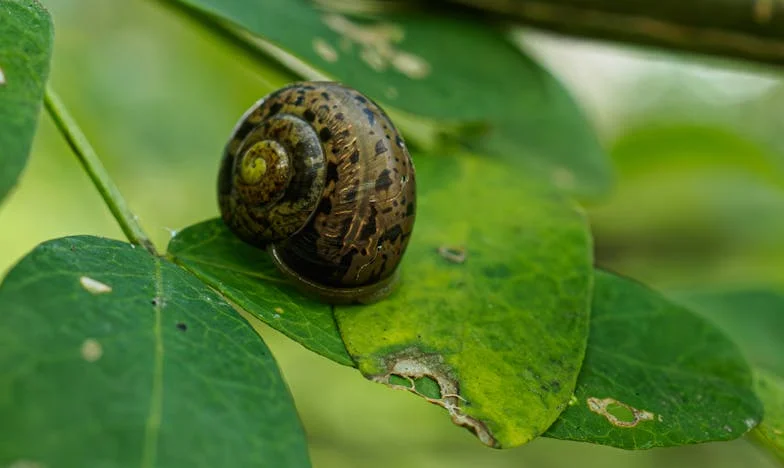 Singurătate în umbra iubirii: Povestea unei mame și a fiicei sale