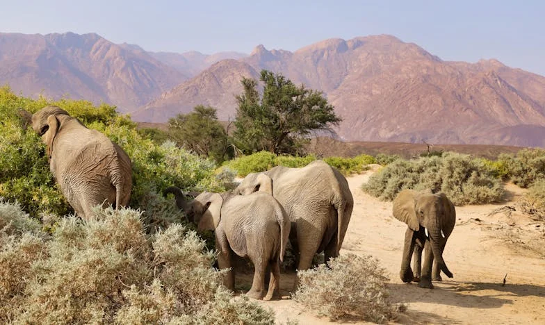 Sub Suprafață: Adevărul Care Mi-a Destrămat Familia