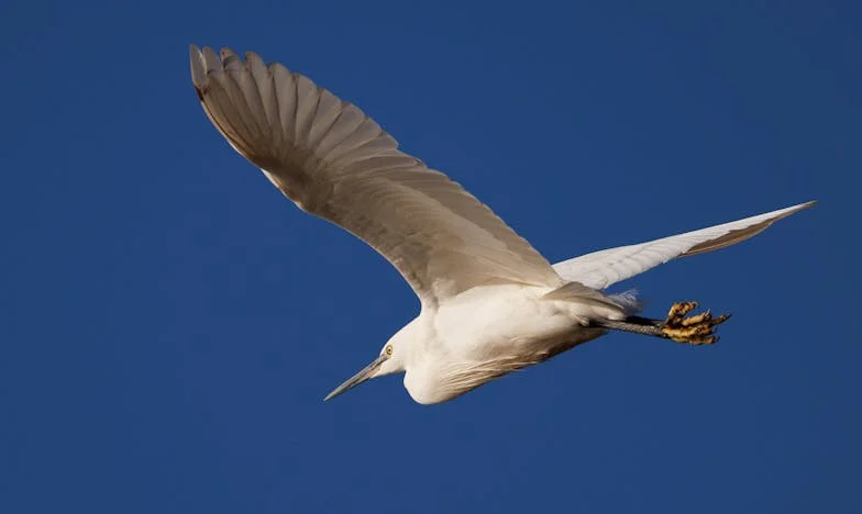 „Sunt în concediu de maternitate, nu bonă gratuită”: Povestea unei mame între datorie și limite