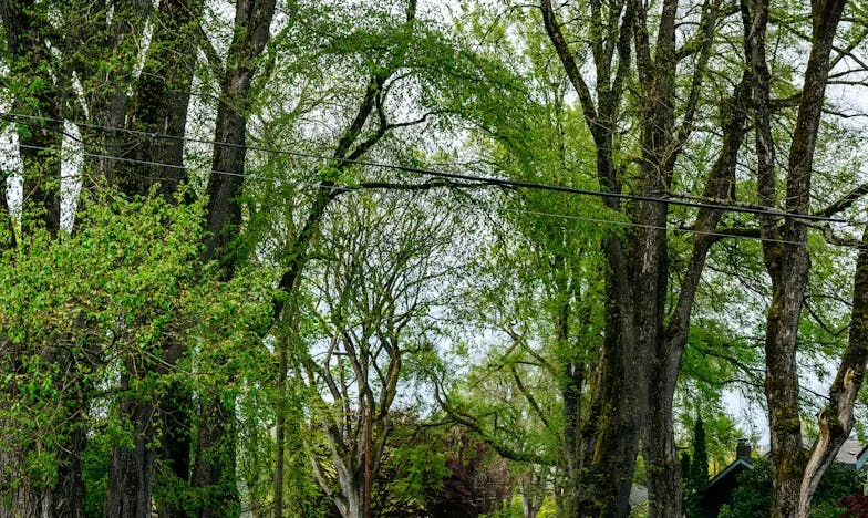 Tăcerea de după furtună: Un tată, fiii săi și umbra trecutului