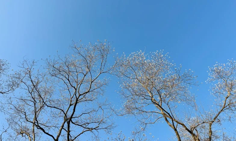 Toamna vieții, primăvara sufletului: Povestea mea de mamă la 47 de ani