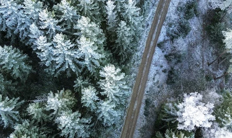 Umbre peste sufletul unei bunici: Ce am aflat la grădiniță despre nepotul meu