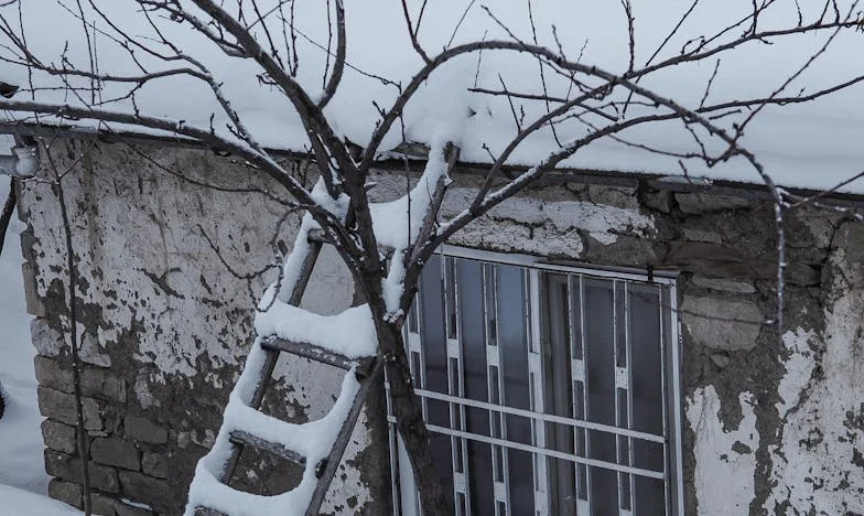 Când adevărul doare: Lupta unui tată pentru fiul său într-o școală românească