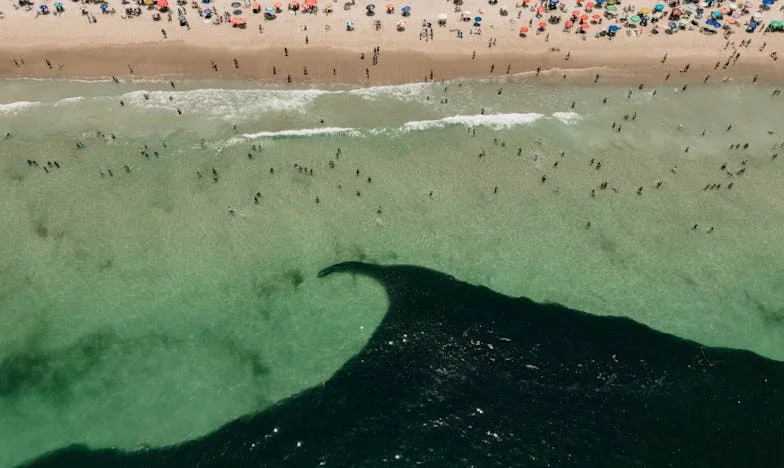 Când am aflat că soțul meu vrea să divorțeze în secret: O săptămână care mi-a schimbat viața