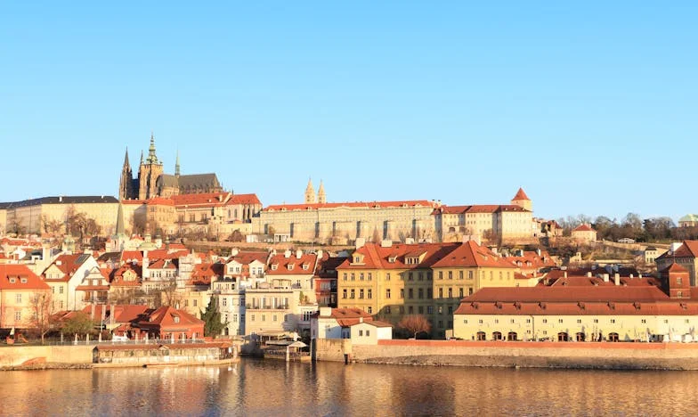 Când oglinda nu mai minte: Povestea unei familii în luptă cu greutatea și prejudecățile