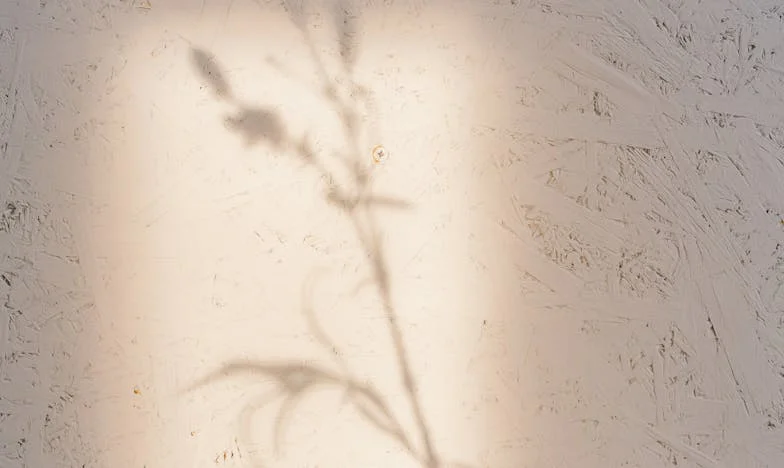 Casa care nu mai e a mea: Povestea unei văduve alungate