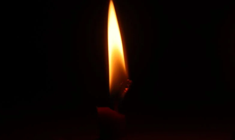 Casa de pe strada Vișinilor: Povara moștenirii și războiul cu mine însumi