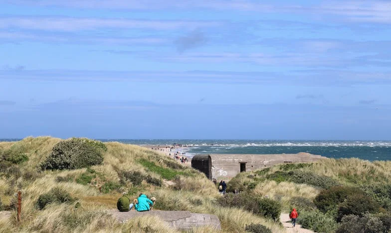 Casa visurilor altora: Povestea mea despre trădare, curaj și regăsire