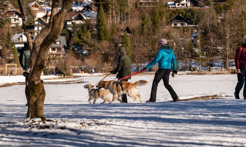 Cinci ani de tăcere: Povara unui împrumut între două familii