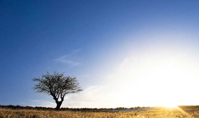 „Cumpără-ți singur și gătește-ți, nu te mai întrețin!”: Strigătul meu pentru respect într-o căsnicie care a uitat ce înseamnă parteneriatul