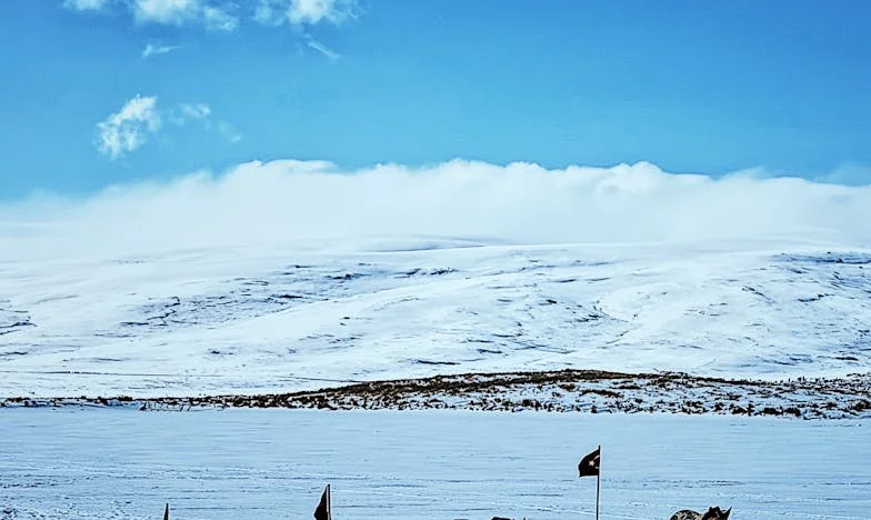 De două ori trădată: Povara unei mame între iubire și vină