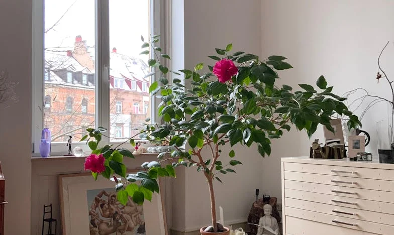 Destinul unei mame fără voie: Povestea mea neașteptată