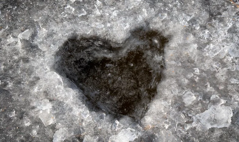 Douăzeci de ani de minciuni: Adevărul ascuns al soțului meu a ieșit la iveală într-o clipă