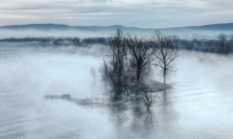 Fericirea pe care am găsit-o în singurătate