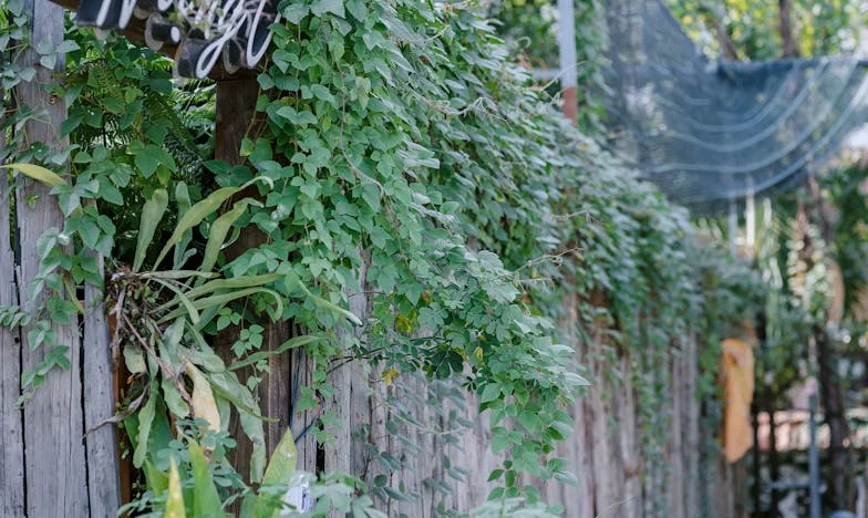 Între datorie și demnitate – Povestea unei familii românești la răscruce