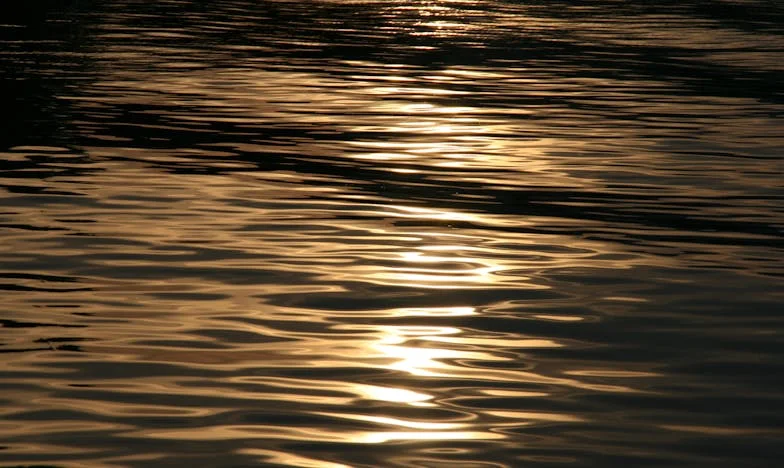 Între două lumi: Cum am învățat să iubesc din nou, deși trecutul nu voia să ne lase în pace