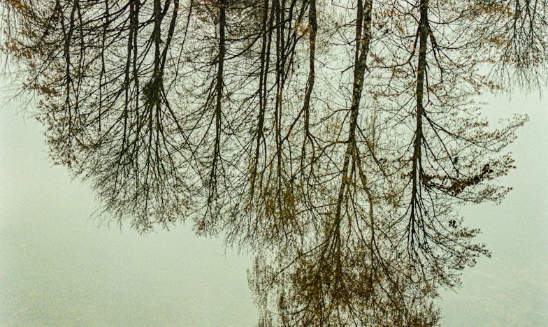 Între două lumi: Povestea unei bunici care nu-și recunoaște nepoții