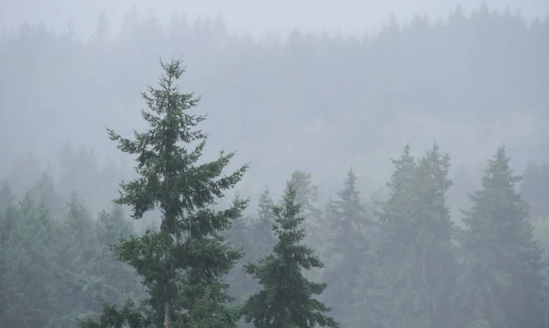 Între iubire și dreptate: Povestea mea cu Anton și războiul cu soacra mea, Ruxandra