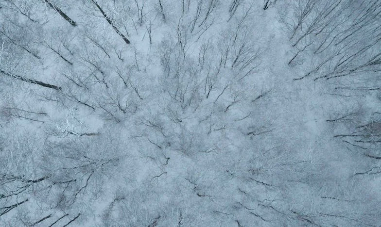 Între loialitate și respect de sine: Povestea mea într-o familie românească