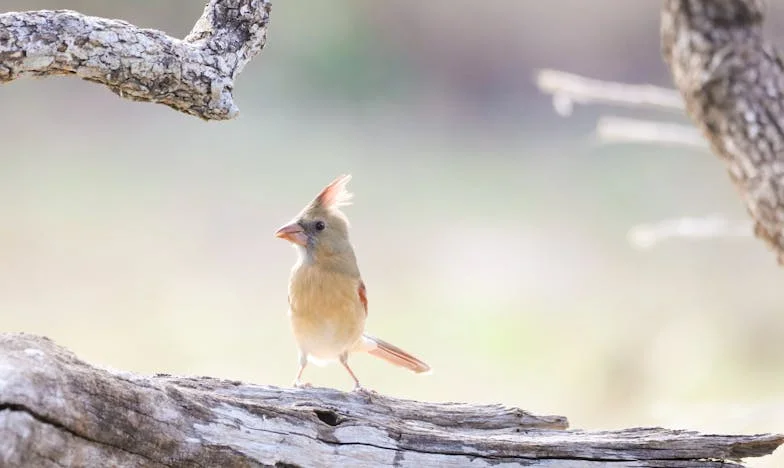 Nașterea care mi-a frânt inima: Când soțul meu, în loc să mă sprijine, m-a rănit cel mai tare