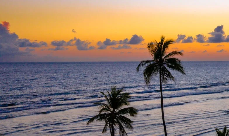 „Nu am mamă” – Povestea unei regăsiri imposibile